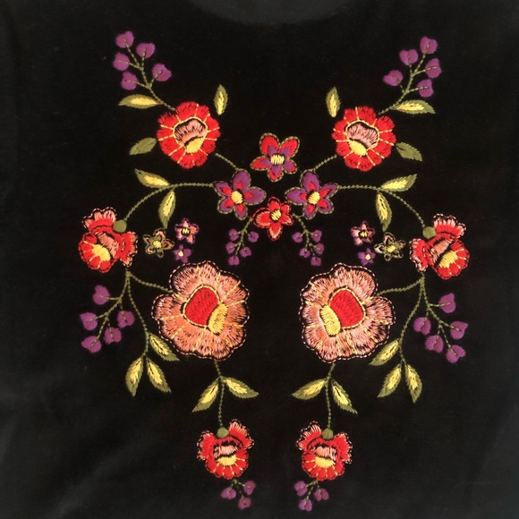 Urban Outfitters Velvet Embroidered Tee Shirt - Picture 4 of 8